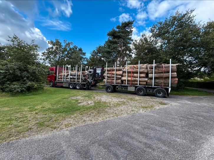 Vrachten rondhout - stamhout - brandhout., Tuin en Terras, Haardhout, Stammen, Overige houtsoorten, Minder dan 3 m³, Ophalen of Verzenden