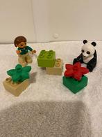 Duplo 6173, Panda met verzorgster, Ophalen of Verzenden, Zo goed als nieuw, Complete set, Duplo