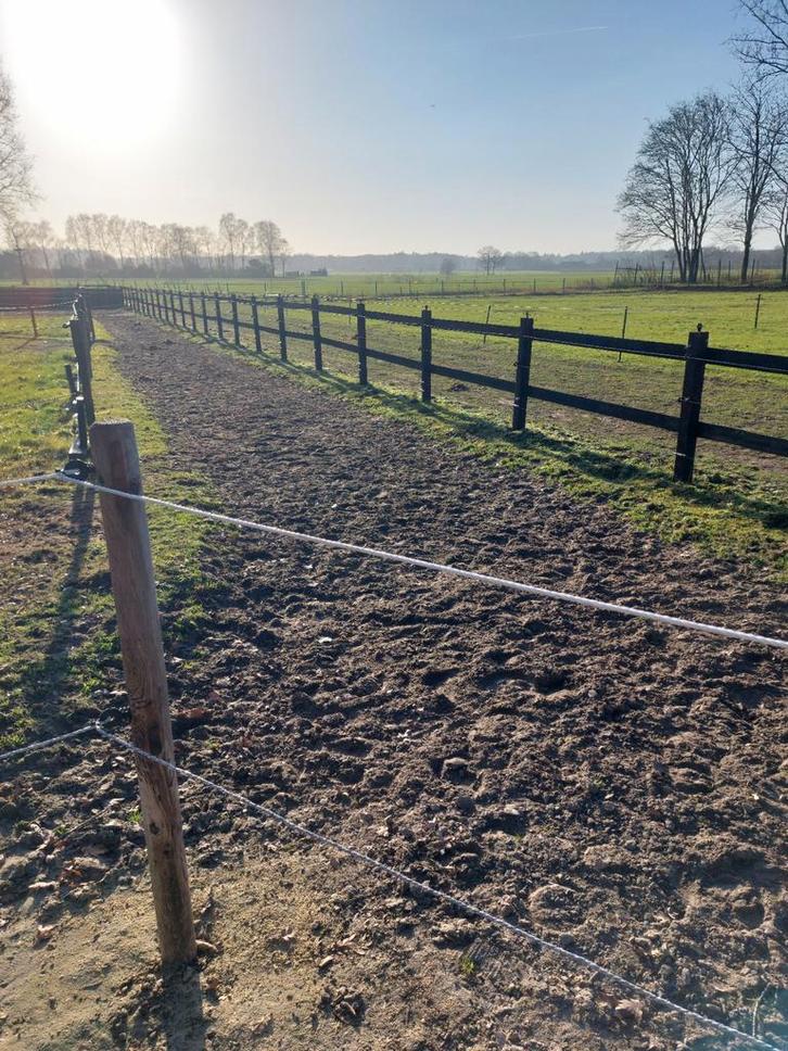 Stal en Weidegang veldhoven, Dieren en Toebehoren, Stalling en Weidegang, Weidegang