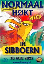 2 kaarten NORMAAL Sidderburen, Tickets en Kaartjes, Twee personen