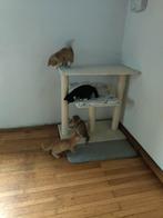 Kattenkrabmeubel dit weekend ophalen voor €10,00!, Ophalen