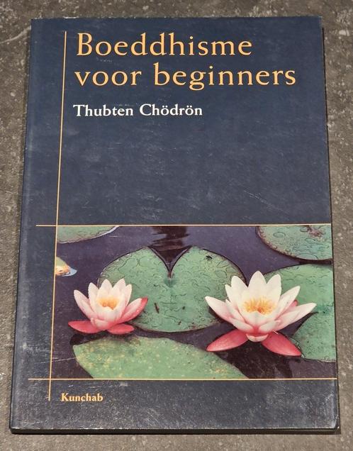 T. Chodron - Boeddhisme voor beginners, Boeken, Esoterie en Spiritualiteit, Zo goed als nieuw, Overige typen, Overige onderwerpen