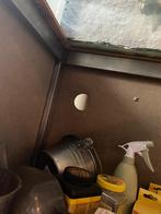 Terrarium met kast en benodigdheden te koop, Dieren en Toebehoren, Reptielen en Amfibieën | Toebehoren, Ophalen, Zo goed als nieuw