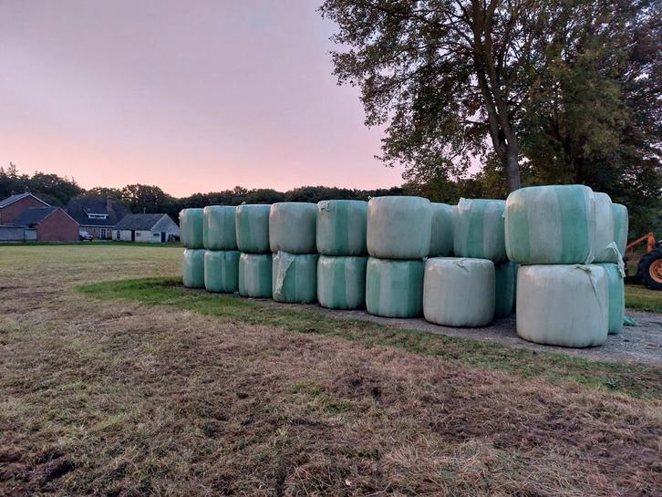 midibalen voordroog hooi / gras, Zakelijke goederen, Agrarisch | Veevoer, Ophalen