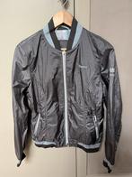 Pikeur jasje grijs mt L nieuw, Dieren en Toebehoren, Paardrijkleding, Ophalen of Verzenden, Nieuw, Dressuur, Bovenkleding