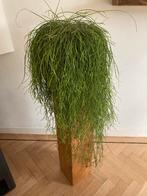 Plantenzuil van gerecycled eiken, Ophalen of Verzenden, Nieuw