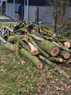 Ongeveer 7 kuub populier, Tuin en Terras, Haardhout, 6 m³ of meer, Ophalen