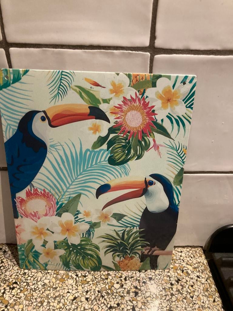 Metalen plaat toekan, Ophalen of Verzenden