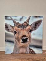 Hertenprint op canvas, Ophalen, Zo goed als nieuw