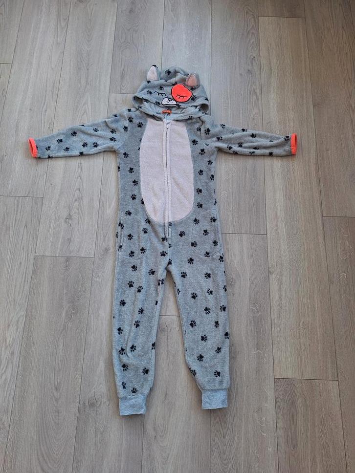 Verkleedpakken - Diverse dieren en monsters!, Kinderen en Baby's, Carnavalskleding en Verkleedspullen, Gebruikt, Jongen of Meisje
