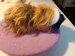 Cavias zeugje kruising tussen Peruvian en lunkarya 3 maanden, Cavia, Vrouwelijk, Mei, Tam