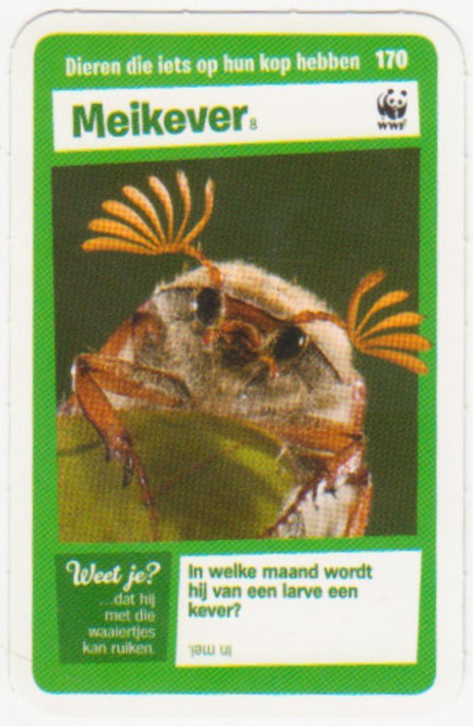 Super dieren no.170 Meikever [2774]  [VeOvSu], Verzamelen, Supermarktacties, Albert Heijn, Ophalen of Verzenden