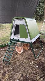 Omlet Eglu Go, Dieren en Toebehoren, Pluimvee | Toebehoren, Ophalen, Gebruikt, Kippenhok of Kippenren