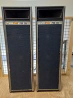 Evans pas 300 P.A. Speakers '70, Audio, Tv en Foto, Luidsprekers, Gebruikt, 120 watt of meer, Front, Rear of Stereo speakers, Ophalen