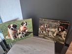 2 sint bernard foto's op hout, Minder dan 50 cm, Ophalen of Verzenden, Zo goed als nieuw, Foto of Poster