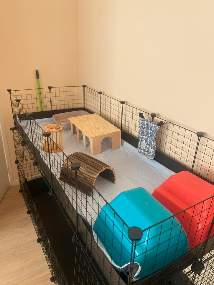 Vakantie opvang voor cavia’s, konijnen en kleine knaagdieren, Dieren en Toebehoren, Knaagdieren en Konijnen | Toebehoren, Nieuw