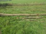 Tamme Kastanje (brand) hout, Tuin en Terras, Haardhout, Minder dan 3 m³, Ophalen, Overige houtsoorten, Blokken