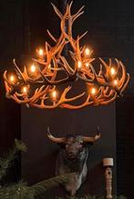 Geweilamp geweienlamp hert hertengewei landelijk wonen gewei, Huis en Inrichting, Lampen | Kroonluchters, Ophalen, Overige materialen