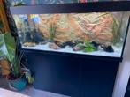 Juwel rio 240 led aquarium 120 cm met onderkast, Dieren en Toebehoren, Ophalen of Verzenden, Zo goed als nieuw, Leeg aquarium