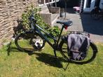 Liv dames trekking fiets. Schijfremmen incl.AXA slot en tas., Ophalen, Nieuw, Minder dan 10 versnellingen