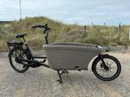 Dolly bakfiets 2022 + regenkap, extra bankje, maxicosihouder, Fietsen en Brommers, Fietsen | Bakfietsen, Overige merken, 4 kinderen of meer