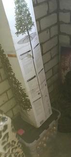 Kerstboom/kerstballen goud, Diversen, Kerst, Ophalen, Zo goed als nieuw