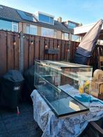 Terrarium/verblijf met complete uitzet!, Ophalen