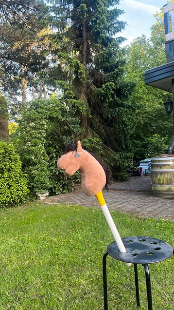 Lieve kleine hobby horse beschikbaar voor biedingen