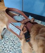 Geleidetuig / vest combi hulphond, Dieren en Toebehoren, Ophalen of Verzenden, Zo goed als nieuw