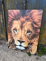 Grote leeuw op canvas van linnen - 80x60 cm, Niet bekend, Zo goed als nieuw, Foto of Poster, 75 cm of meer