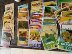 Jumbo Chef plaatjes actie, Verzamelen, Jumbo, Ophalen of Verzenden