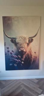 Schotse Hooglander aluminium/dibond schilderij 120x180, Huis en Inrichting, Ophalen, Nieuw, Print, 75 tot 100 cm