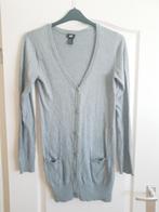 Mooi lang licht grijs meisjes vest meisjesvest maat 170, Ophalen of Verzenden, Zo goed als nieuw, Meisje, Trui of Vest