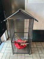 papegaaienkooi, Verzenden