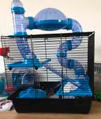 Twee hamsterkooien met toebehoren, Dieren en Toebehoren, Knaagdieren en Konijnen | Hokken en Kooien, Kooi, Minder dan 75 cm, Zo goed als nieuw