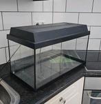 60x30x30 aquarium terrarium opknapper, Ophalen, Gebruikt, Leeg aquarium