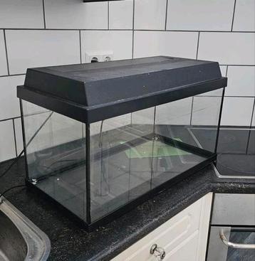 60x30x30 aquarium terrarium opknapper beschikbaar voor biedingen