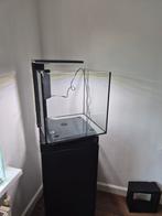 Superfish qubiq 60, Ophalen of Verzenden, Gebruikt, Leeg aquarium