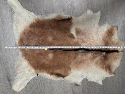 Te koop: geiten-huidje, 75 x 63 cm, Huis en Inrichting, Stoffering | Tapijten en Kleden, Gebruikt, 50 tot 100 cm, 50 tot 100 cm