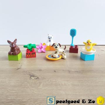 🐱 ZGAN | Lego Duplo Huisdieren | 10838 | compleet beschikbaar voor biedingen