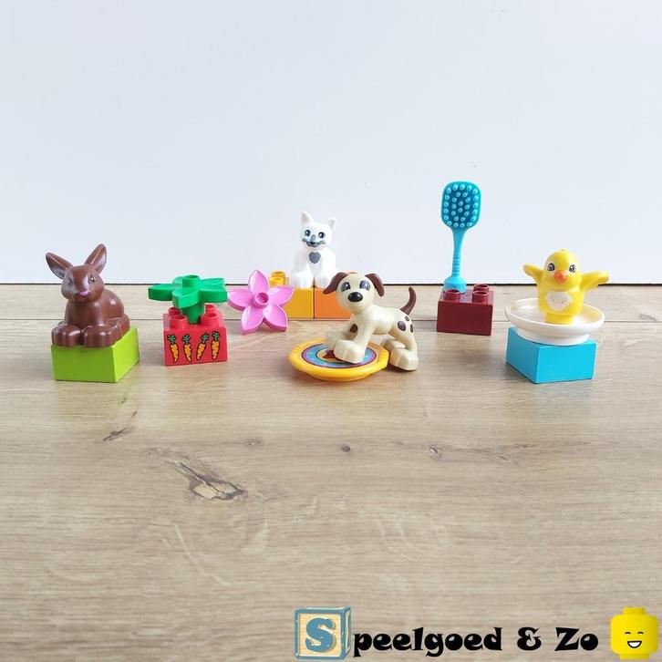 🐱 ZGAN | Lego Duplo Huisdieren | 10838 | compleet, Kinderen en Baby's, Speelgoed | Duplo en Lego, Zo goed als nieuw, Duplo, Complete set
