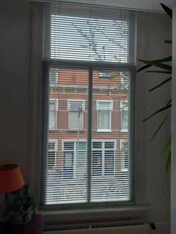 Aluminium jaloezieën, 25 mm, metallic-zilver, 100x250 cm beschikbaar voor biedingen