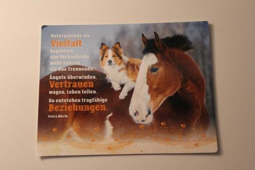 Paarden Postkaart - Schotse Collie zittend op Paard, Germany, Verzamelen, Ansichtkaarten | Dieren, Ongelopen, 1980 tot heden, Paard