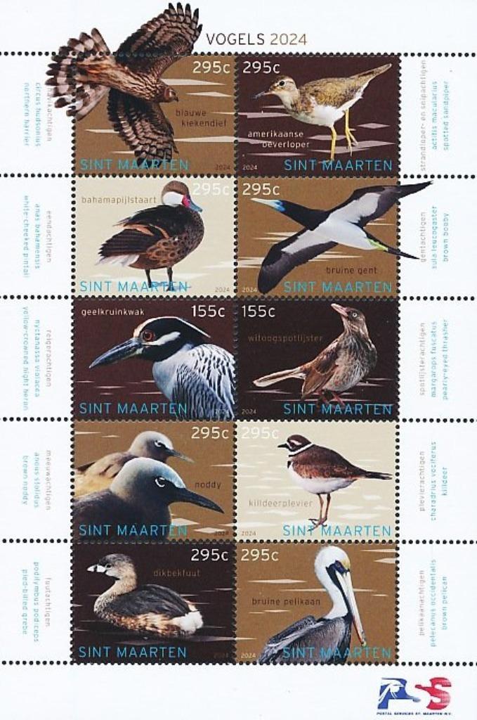 SINT MAARTEN 11 -  Dieren: vogels, Postzegels en Munten, Postzegels | Thematische zegels, Postfris, Dier of Natuur, Ophalen of Verzenden