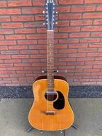 Gitaar 12-snarig DIA Acoustic, Ophalen, Gebruikt, Western- of Steelstringgitaar, 12-snarig