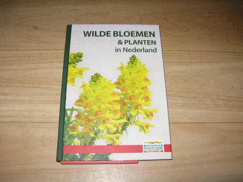 Wilde bloemen & planten in Nederland (3287), Boeken, Natuur, Zo goed als nieuw, Bloemen, Planten en Bomen, Ophalen of Verzenden