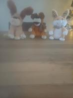 Speelgoed, Ophalen, Konijn