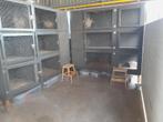 Vakantieopvang voor uw konijn en cavia, Verzorging