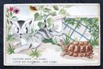 De poes schrikt want ziet de schildpad voor een tank aan..., Verzenden, 1940 tot 1960, Ongelopen, Hond of Kat