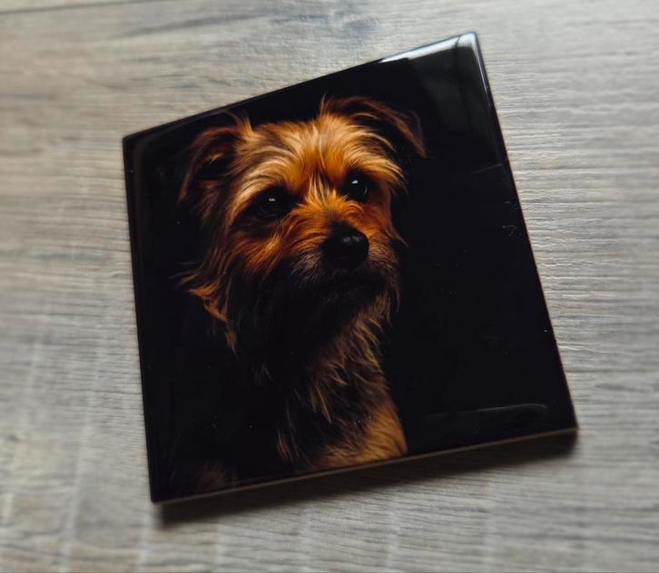 Tegeltje hond, Antiek en Kunst, Antiek | Wandborden en Tegels, Ophalen of Verzenden